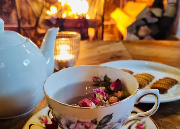 فندق Le Manoir Des Impressionnistes & Spa 4*